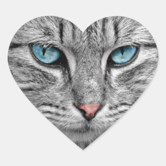 Blue-Eyed Cat Sticker