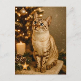 Blue-Eyed Christmas Cat Cozy Holiday Postcard