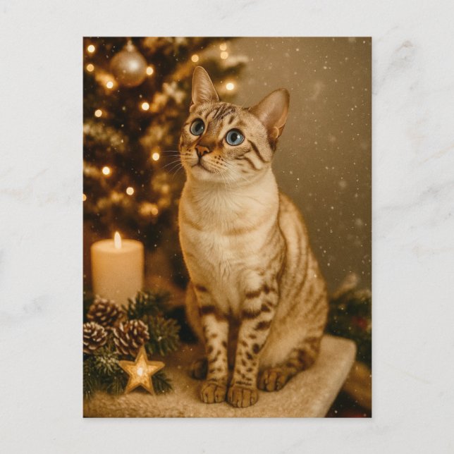 Blue-Eyed Christmas Cat Cozy Holiday Postcard (Front)