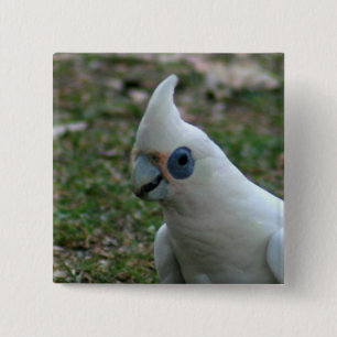 Blue Eyed Cockatoo 15 Cm Square Badge