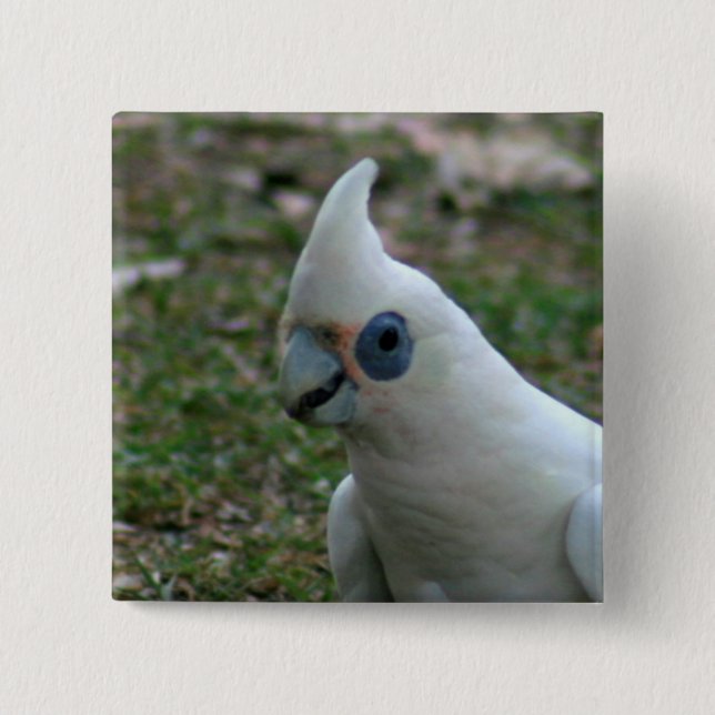 Blue Eyed Cockatoo 15 Cm Square Badge (Front)