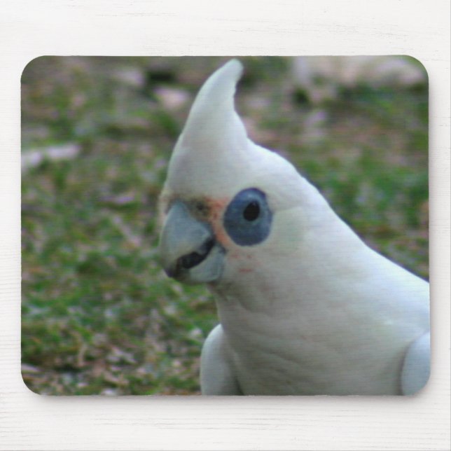 Blue Eyed Cockatoo Mouse Mat (Front)