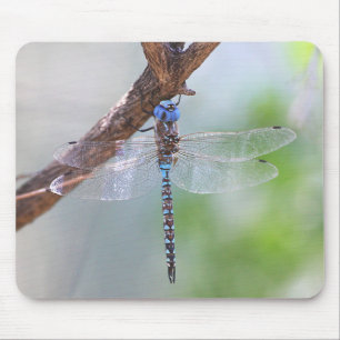 Blue - Eyed Darner Dragonfly Mouse Mat