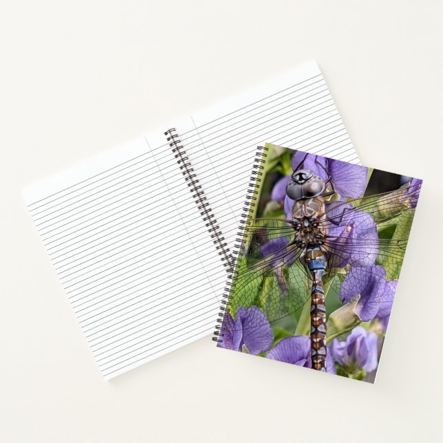 Blue-Eyed Darner Dragonfly on Flower Notebook (Inside)