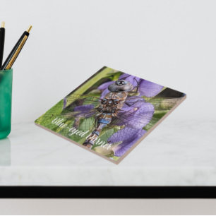 Blue-Eyed Darner Dragonfly on Flower Tile