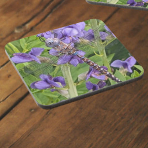 Blue-Eyed Darner Dragonfly on Purple Flowers Coaster
