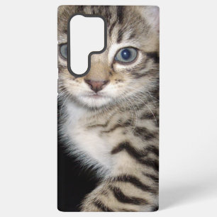Blue Eyed Fluffy Grey Kitten, Samsung Galaxy Case