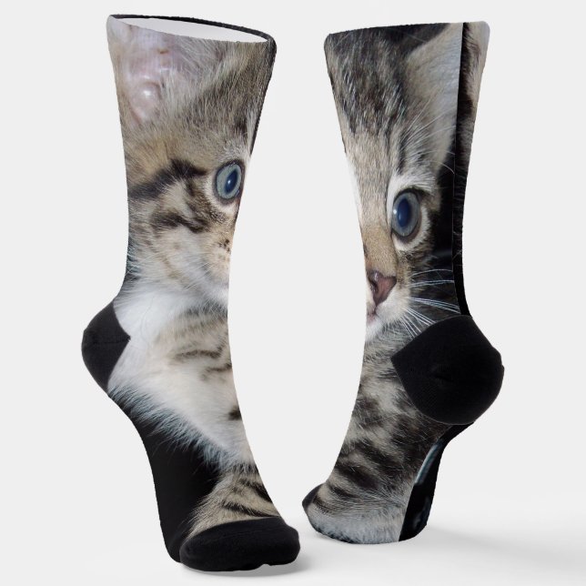 Blue Eyed Fluffy Kitten, Crew Socks (Angled)