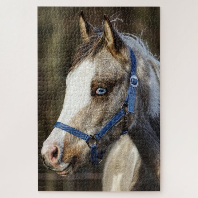 Blue Eyed Foal Jigsaw Puzzle (Vertical)