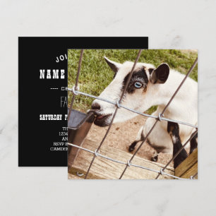 blue eyed goat invitation