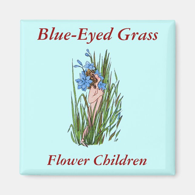 Blue-Eyed Grass Magnet (Front)