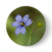 Blue Eyed Grass Wildflower Floral Button