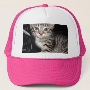 Blue Eyed Grey Fluffy Kitten, Trucker Hat