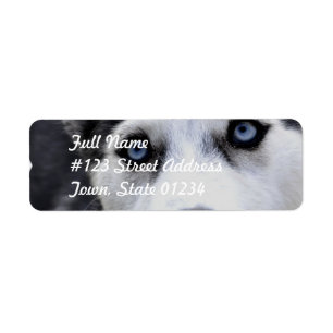 Blue Eyed Husky Mailing Labels