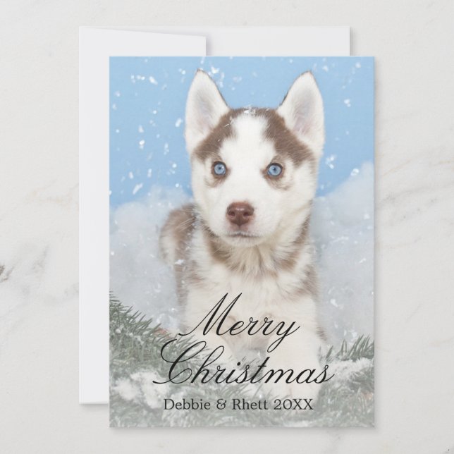 Blue eyed husky puppy sitting in snow holiday card (Front)