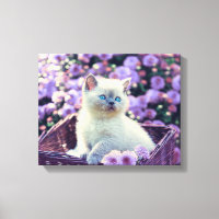Blue Eyed Kitten Cat In Basket With Purple Flowers