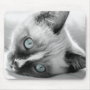 Blue-Eyed Kitten Mouse Pad