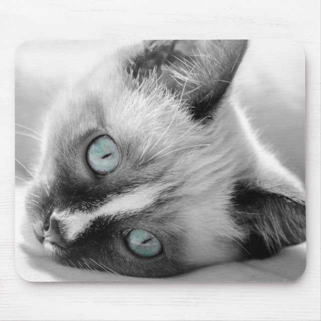 Blue-Eyed Kitten Mouse Pad (Front)