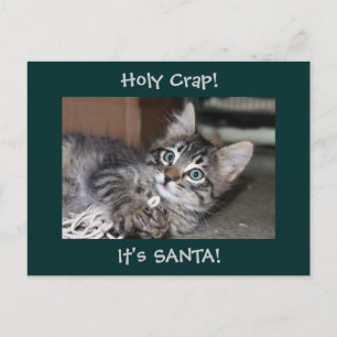 Blue Eyed Kitten Santa Postcard