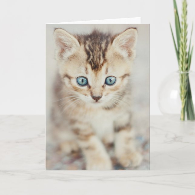 Blue Eyed Kitty Card (Front)