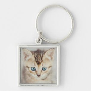 Blue Eyed Kitty Key Ring