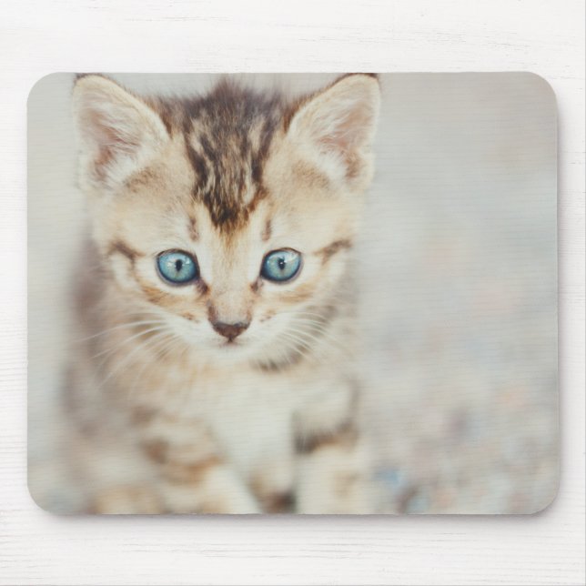Blue Eyed Kitty Mouse Mat (Front)