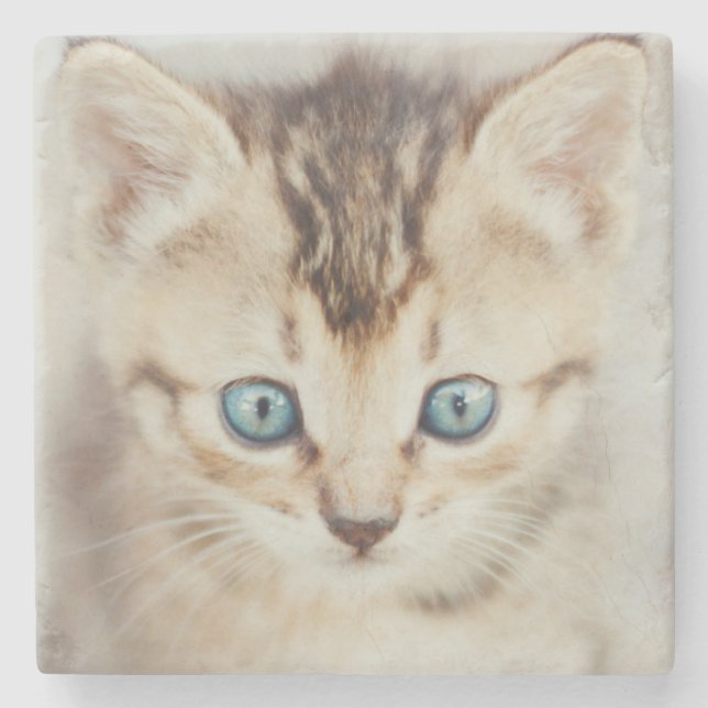 Blue Eyed Kitty Stone Coaster (Front)