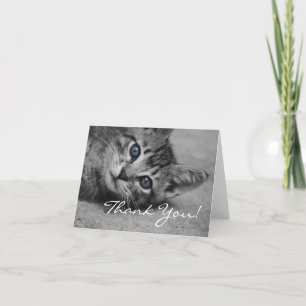 Blue Eyed Kitty Thank You Card