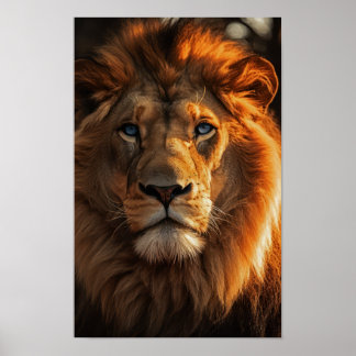 Blue Eyed Lion Poster