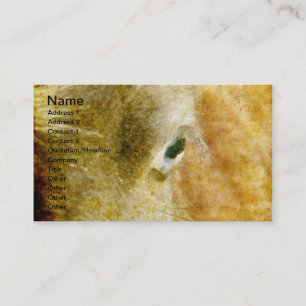 Blue Eyed Mini Filly Grunge Business Card
