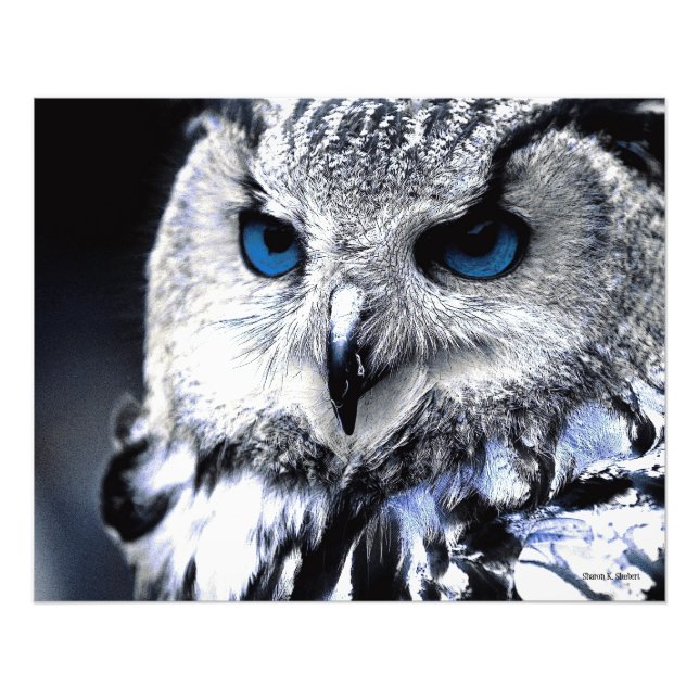 Blue Eyed Owl Art Print (Front)