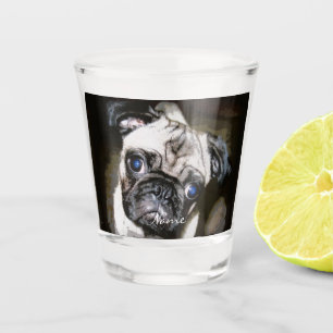 blue-eyed pug face Thunder _Cove Shot Glass