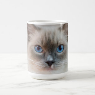 Blue Eyed Ragdoll Cat Coffee Mug