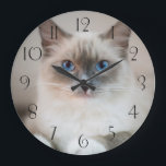Blue Eyed Ragdoll Cat Large Clock<br><div class="desc">Blue Eyed Ragdoll Cat</div>