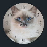 Blue Eyed Ragdoll‎ Cat Large Clock<br><div class="desc">Blue Eyed Ragdoll‎ Cat</div>