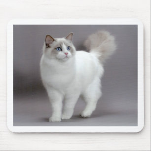 Blue-Eyed Ragdoll Cat Purfection Mouse Mat