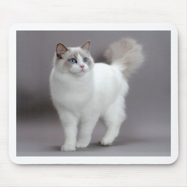Blue-Eyed Ragdoll Cat Purfection Mouse Mat (Front)