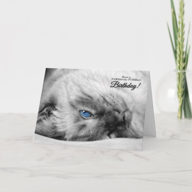 Blue Eyed Siamese for Cat Lover's Birthday Card (Front)