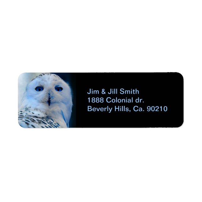 Blue Eyed Snow Owl (Front)