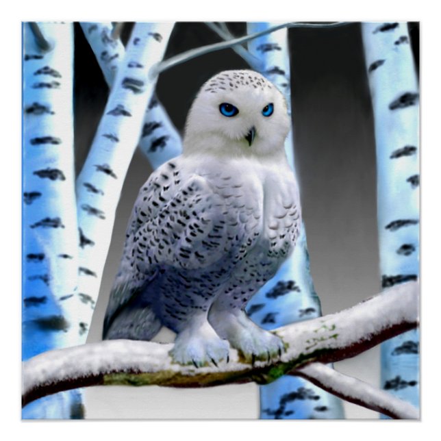 BLUE-EYED SNOW OWL POSTER (Front)