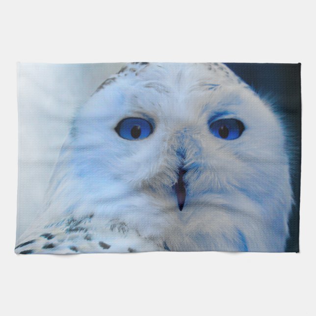 Blue Eyed Snow Owl Tea Towel (Horizontal)
