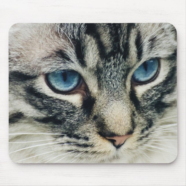Blue-Eyed Tabby Cat Close-up Mouse Mat (Front)