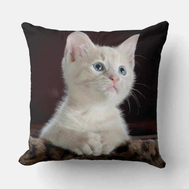 Blue Eyed White Kitten Cushion (Front)