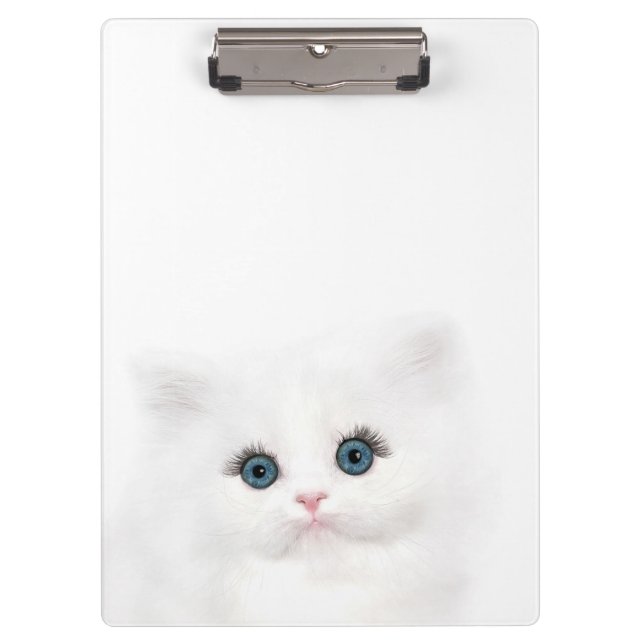 Blue eyed white persian kitten face clipboard (Front)