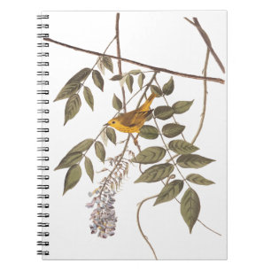 Blue-Eyed Yellow Warbler Audubon Bird on Wisteria Notebook