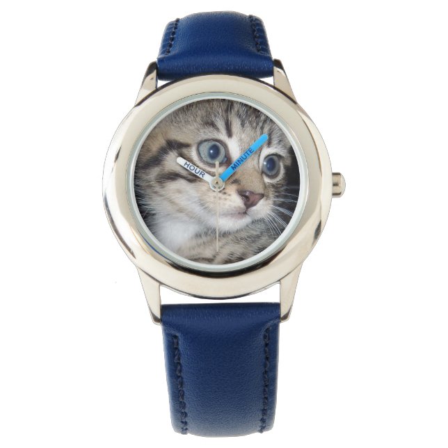 Blue Eyes Fluffy Grey Kitten, Watch (Front)
