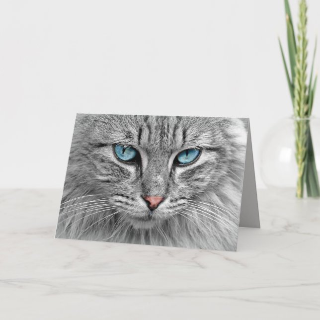 Blue eyes greeting card (Front)