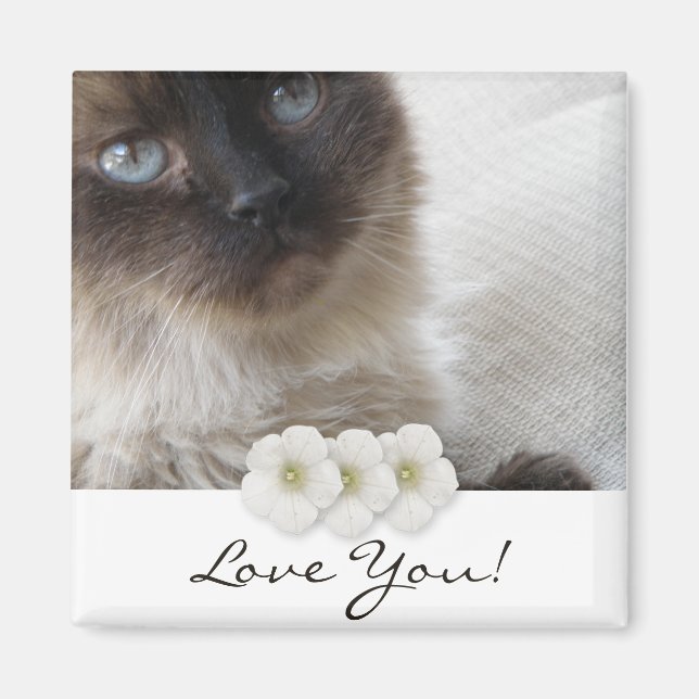 Blue Eye's Kitty Magnet (Front)