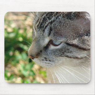 Blue Eyes Kitty Mouse Mat