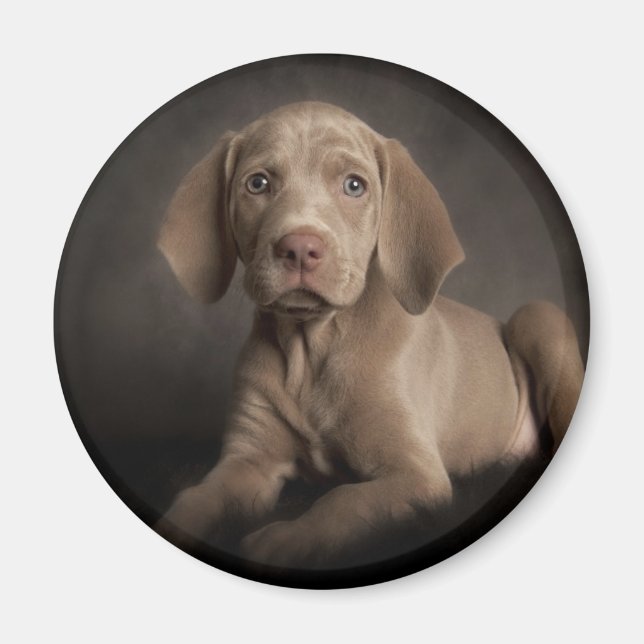 Blue eyes magnet (Front)